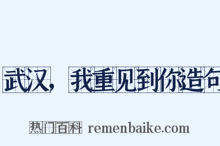武汉，我重见到你造句是什么意思的图片